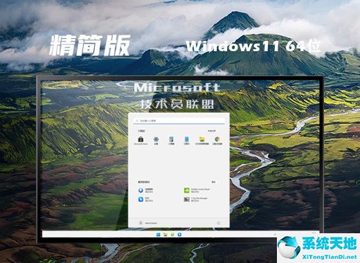 技术员联盟 Win11版 ISO镜像 64位 高级精简版系统 v2022.07