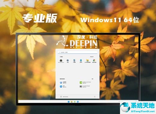 深度技术 ISO Win11 64位完整专业版 v2022.07