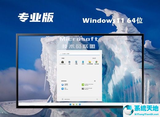 技术员联盟 ISO Win11 64位标准专业版 v2022.07