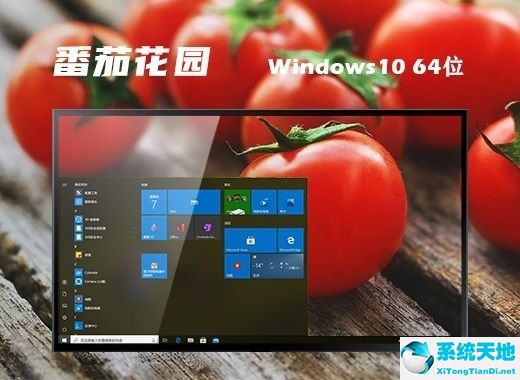 番茄花园 Ghost win10 64位精简版 v2022.08