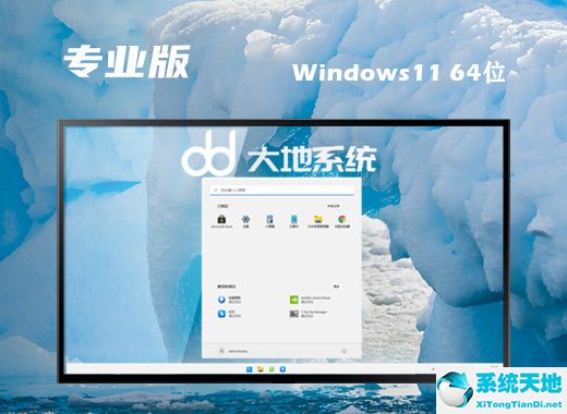 大地系统 ISO Win11 64位专业版 v2022.08
