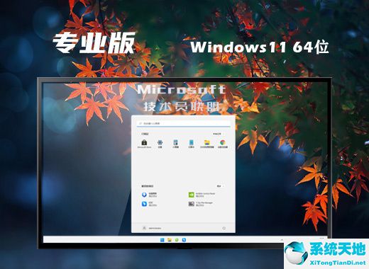 技术员联盟 ISO Win11 64位优秀专业版 v2022.08