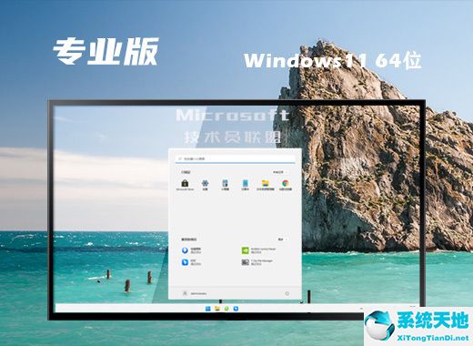 技术员联盟 Ghost Win11 64位极速专业版 v2022.08