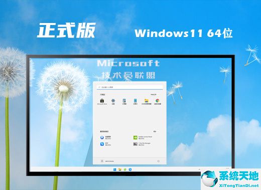 技术员联盟 Ghost Win11 64位高速正式版 v2022.08