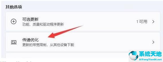 Win11如何限制带宽流量？