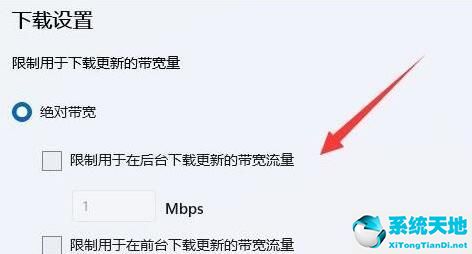 Win11如何限制带宽流量？