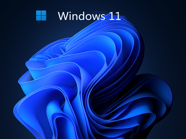 小白系统 Win11 最新官方版 v2022