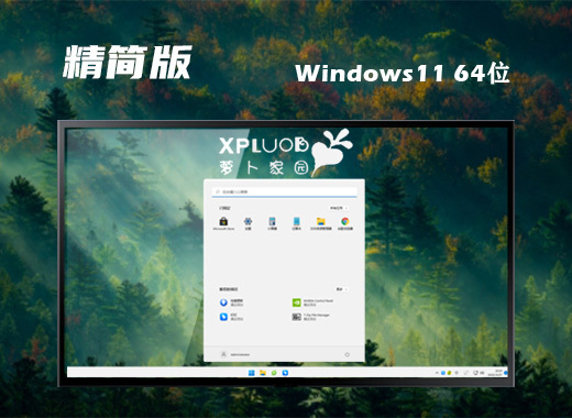 萝卜家园 Ghost Win11 64位优化精简版 v2022.11