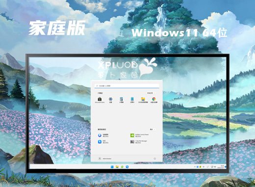 萝卜家园 Ghost Win11 64位高效家庭版 v2022.11
