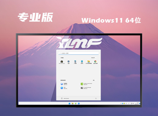 雨林木风 ISO Win11 64位 标准专业版系统 v2022.12