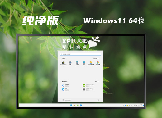 萝卜家园 Ghost Win11 64位镜像纯净版 v2022.12