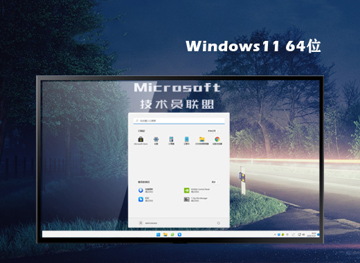 技术员联盟 Ghost Win11 64位简装专业版 v2023.01