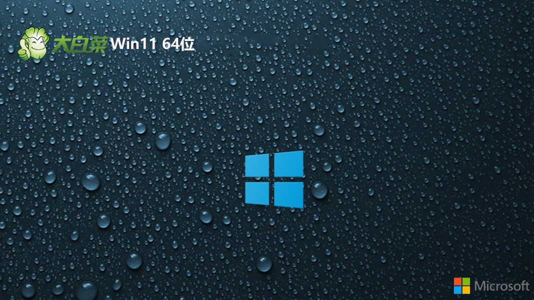 大白菜 Ghost Win11 64位安全企业版 v2023.01