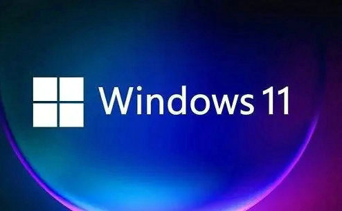 萝卜家园 Ghost Win11 64位精选优良版 v2023.01