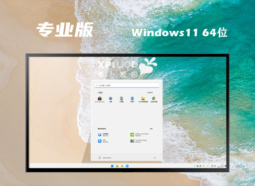 萝卜家园 Ghost Win11 64位22H2官方版 v2023.01