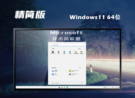 技术员联盟 Ghost Win11 64位直装精简版 v2023.03