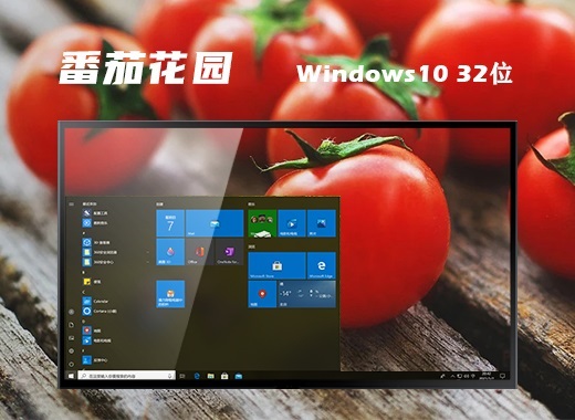 番茄花园 Ghost Win10 32位通用镜像版 v2023.10