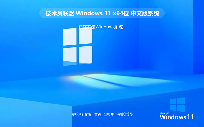 技术员联盟 Ghost Win11 64位旗舰官方版 v2023.10