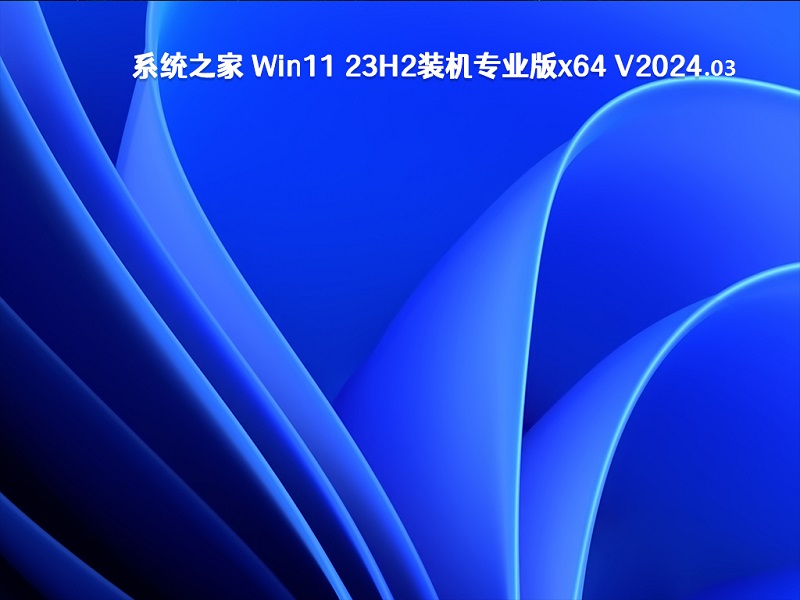 Win11 23H2 64位专业版标准镜像ISO v2024.03