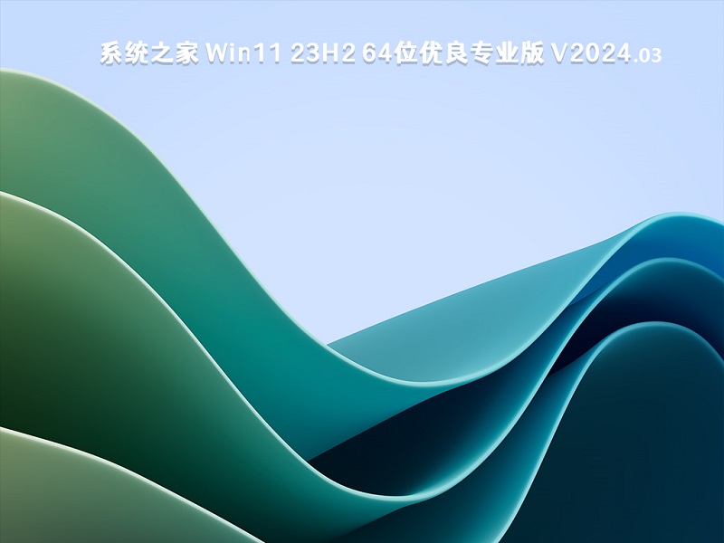 系统之家 Win11 23H2 64位优良专业版 v2024.03