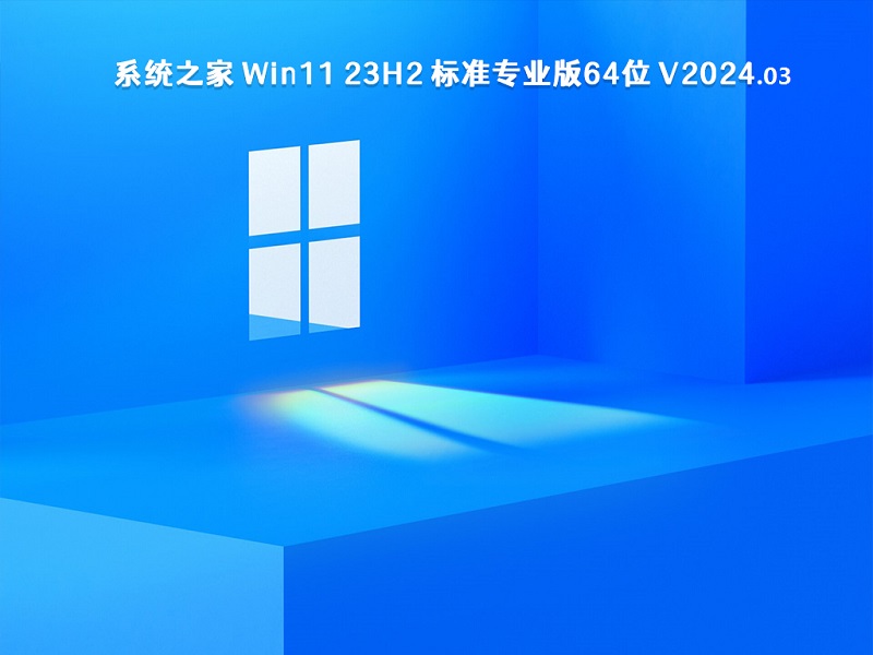 系统之家 Win11 23H2 标准专业版64位 v2024.03