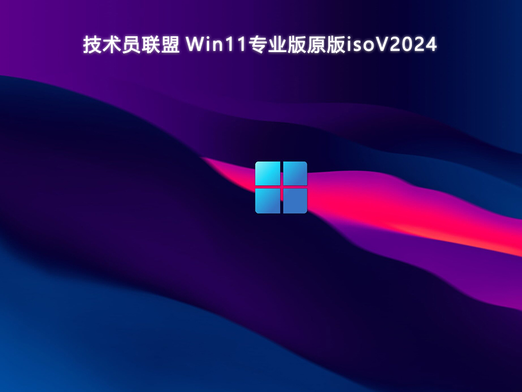 技术员联盟 Win11专业版原版iso 64位 V2024.8