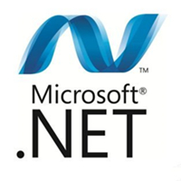 .net framework v4.0.30319