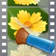 Neat Video 官方版v6.0.6