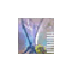EXIF Pilot 绿色版 v4.11