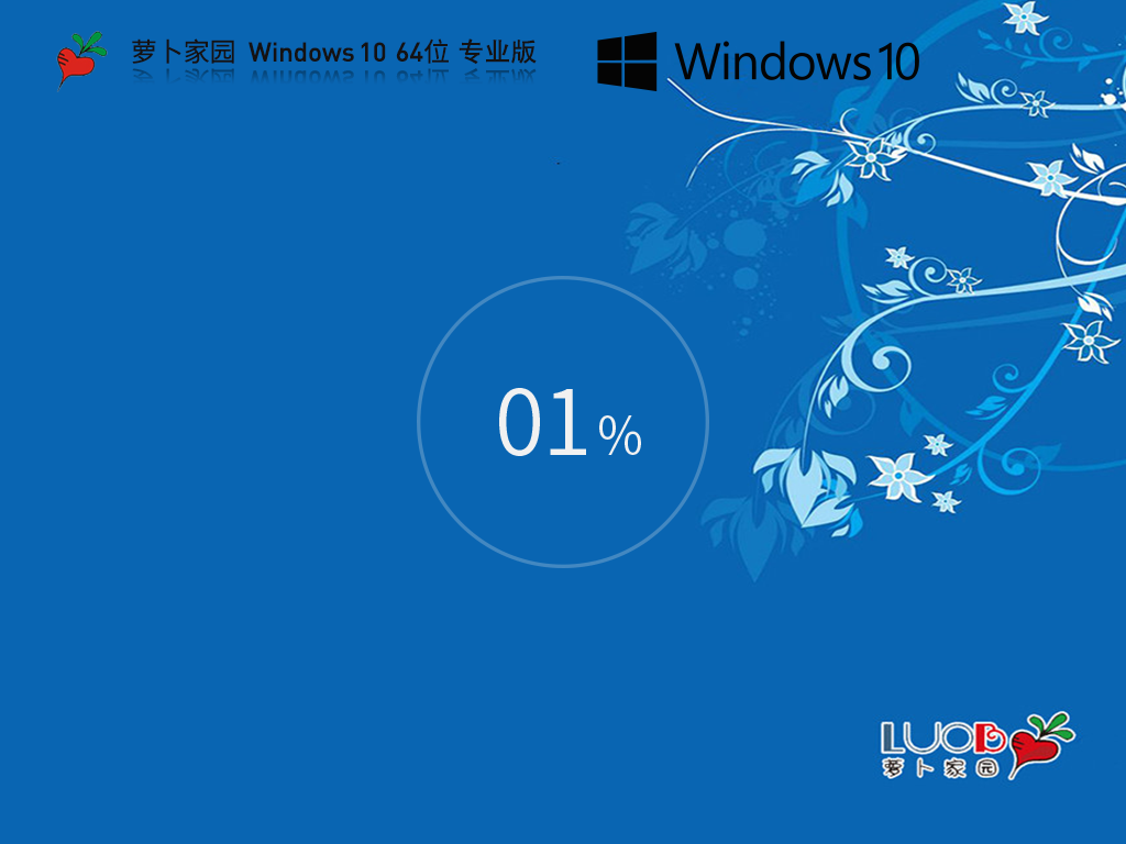 萝卜家园 Windows10专业装机版 64位 V2025.8