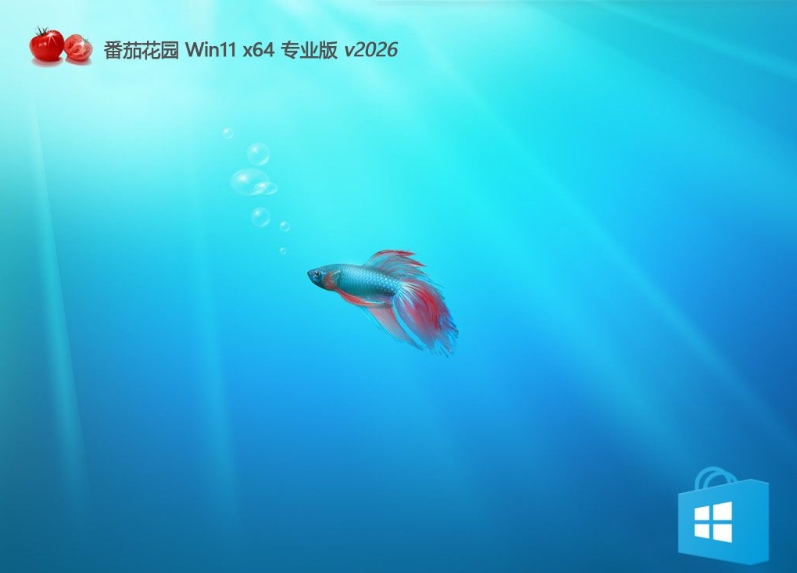 番茄花园免激活win11青春电竞版 64位 V2026.02