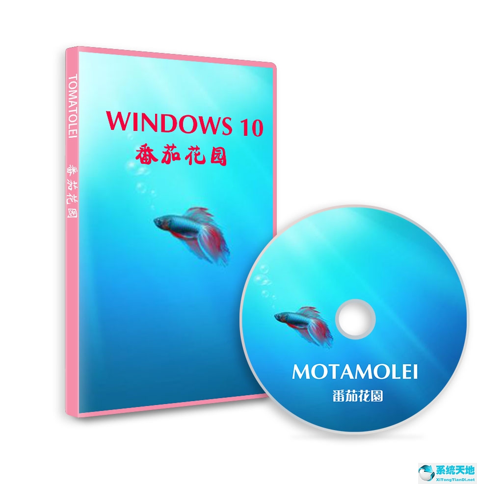 番茄花园系统Win10 20H2 专业版 64位ISO系统下载 2021.04
