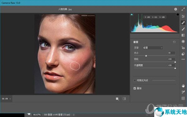 Adobe Camera Raw13版本下载