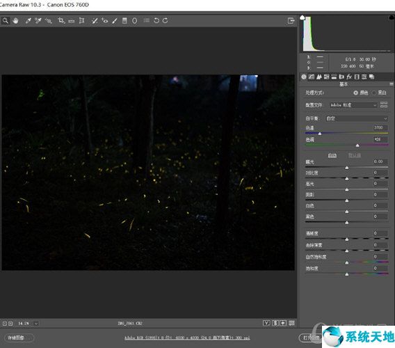 Adobe Camera Raw13版本下载