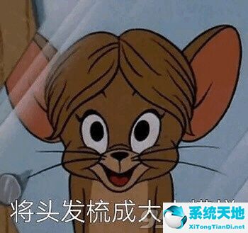 猫和老鼠杰瑞表情包