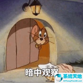猫和老鼠杰瑞表情包