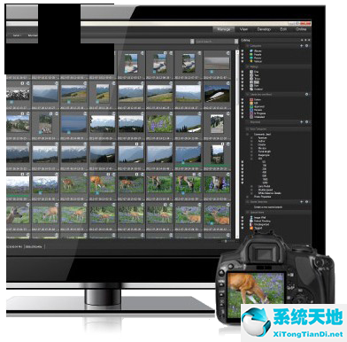 acdsee pro 6简体中文版