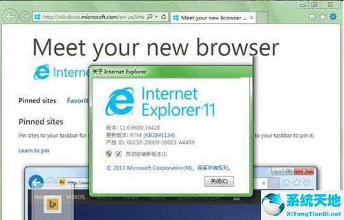 Internet Explorer 11