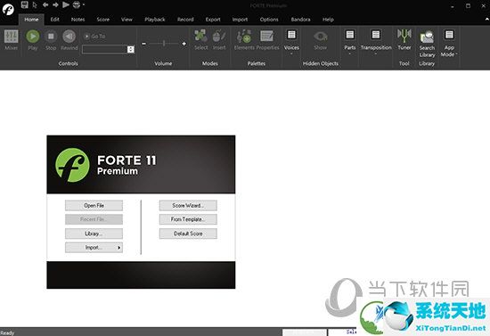 FORTE 11 Premium