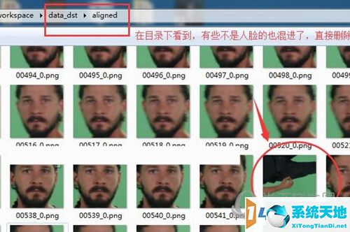 DeepFaceLab中文版