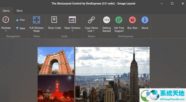 DevExpress19破解版