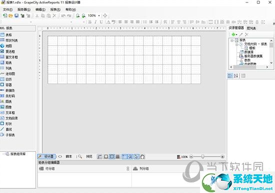 ActiveReports11