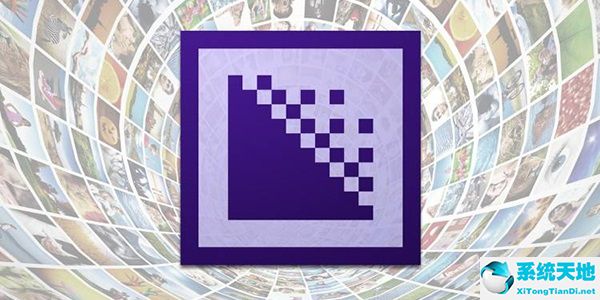 Adobe Media Encoder 2020截图