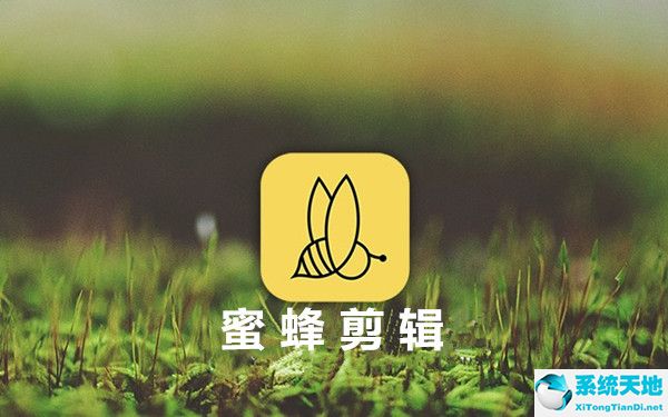 蜜蜂剪辑截图