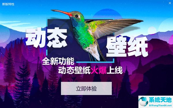 小鸟壁纸(原360壁纸)截图