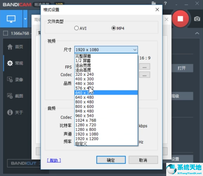 Bandicam设置录制视频尺寸的使用教程截图