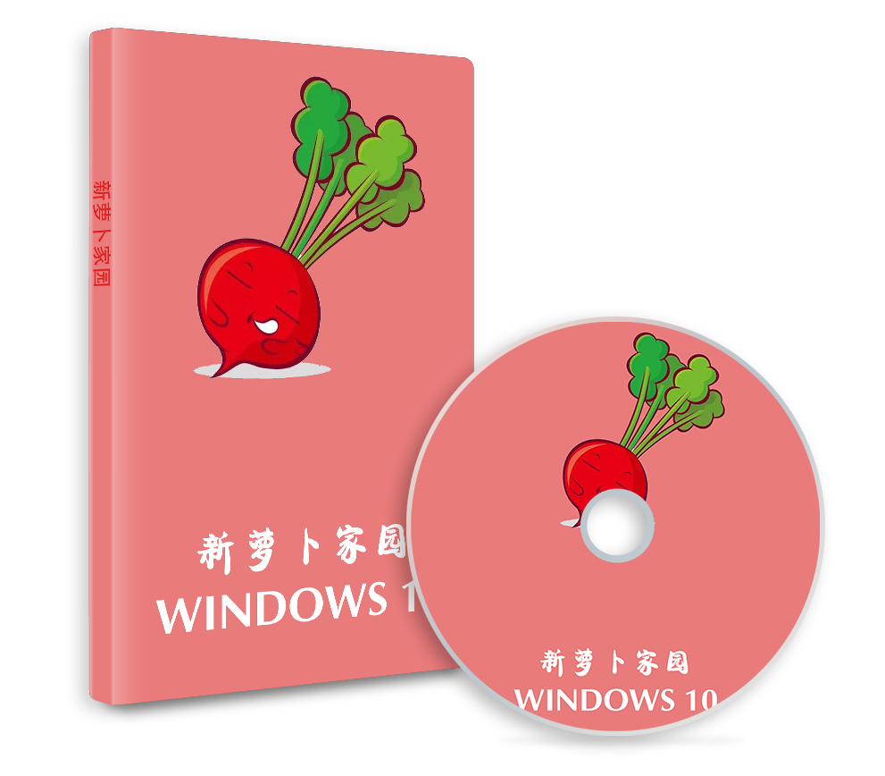 萝卜家园微软Win10专业版32位系统2022 05