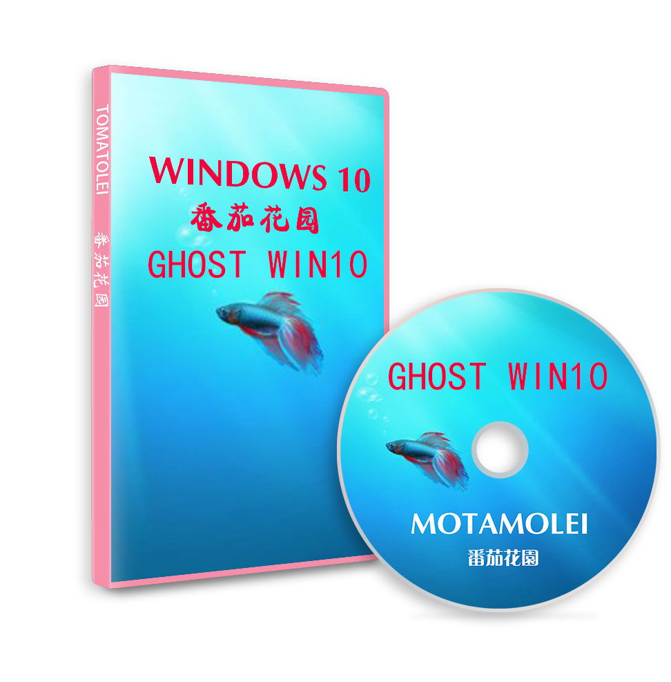 番茄花园GHOST WIN10  64位专业版6月出品