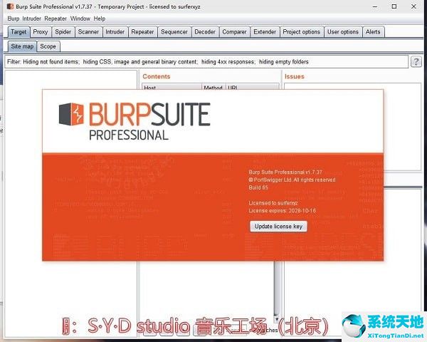 Burpsuite截图