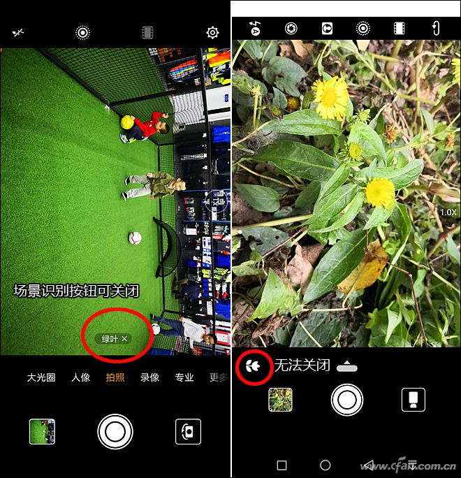 有了P20 Pro/荣耀10,Mate 10 Pro/荣耀V10你还选不?